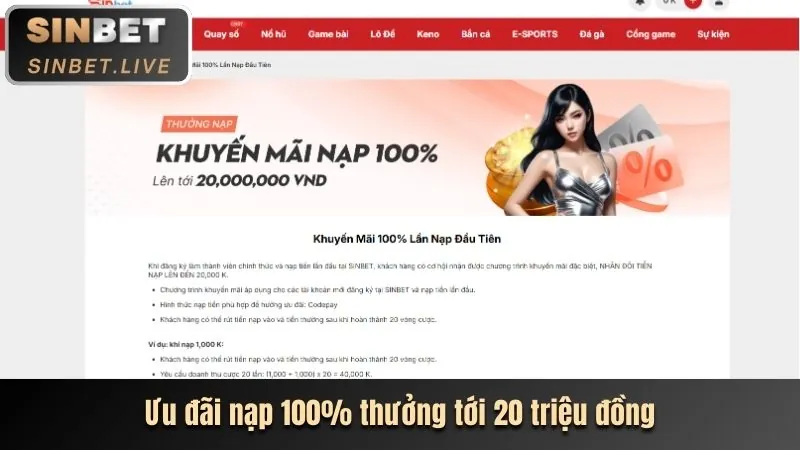 Chương trình hoàn trả cao cấp